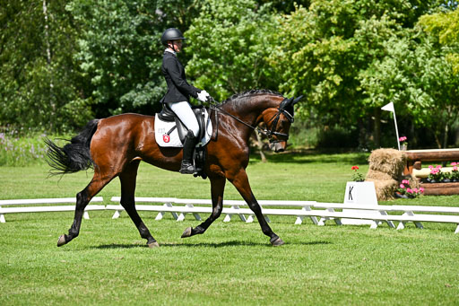  | 13062025 Dressur _1119 