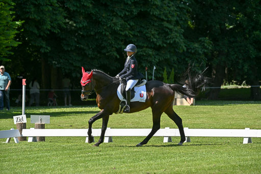  | 13062025 Dressur _1140 