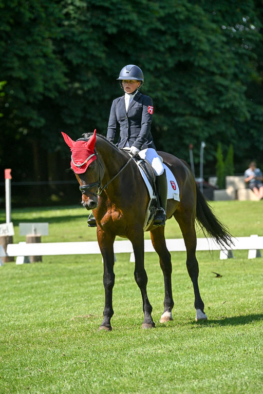  | 13062025 Dressur _1145 