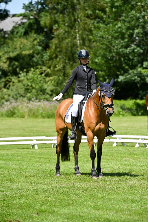  | 13062025 Dressur _1148 