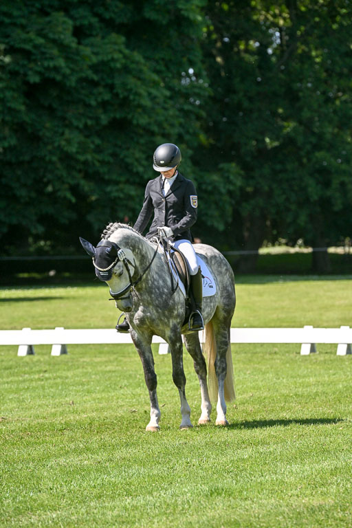  | 13062025 Dressur _1155 