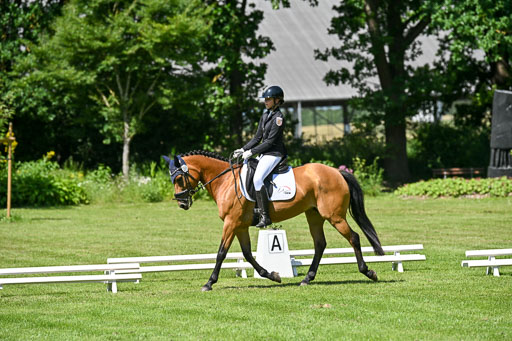  | 13062025 Dressur _1156 