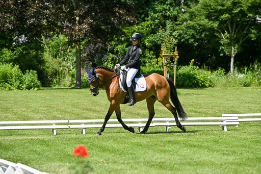  | 13062025 Dressur _1157 