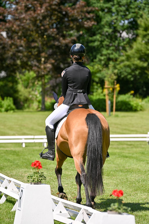  | 13062025 Dressur _1162 