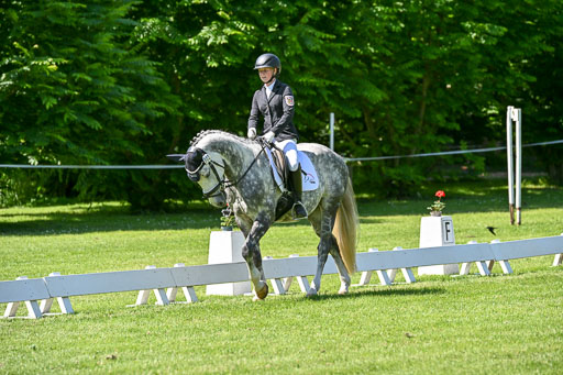  | 13062025 Dressur _1163 