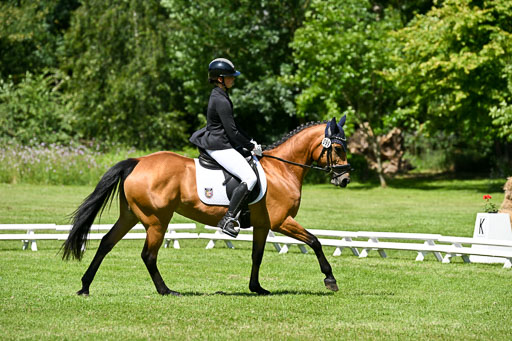  | 13062025 Dressur _1164 