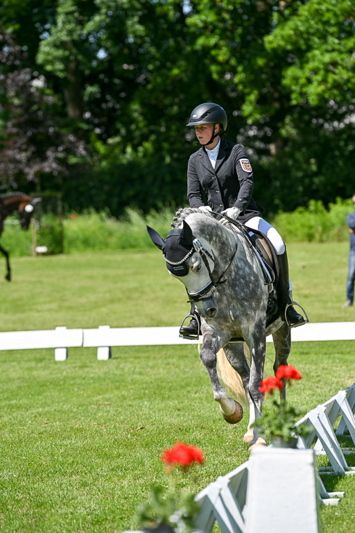  | 13062025 Dressur _1167 