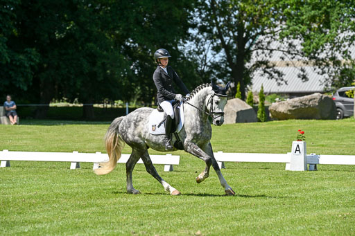  | 13062025 Dressur _1169 