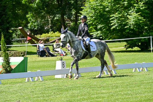  | 13062025 Dressur _1176 