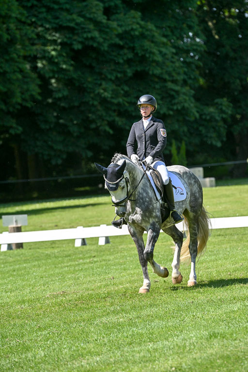  | 13062025 Dressur _1179 