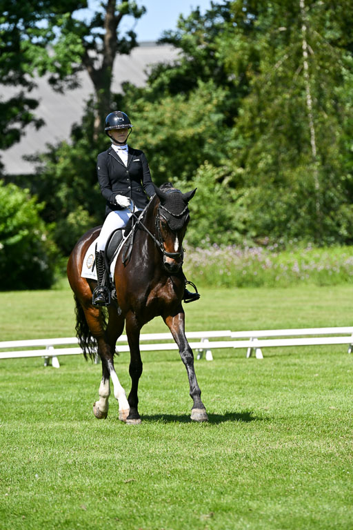  | 13062025 Dressur _1182 