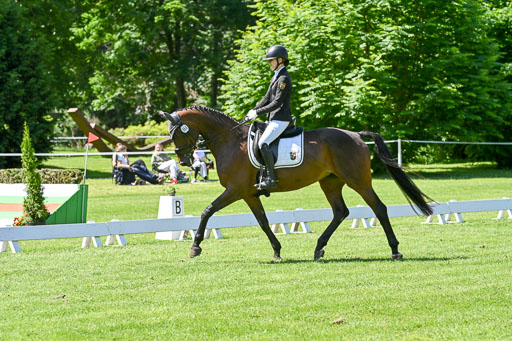  | 13062025 Dressur _1191 