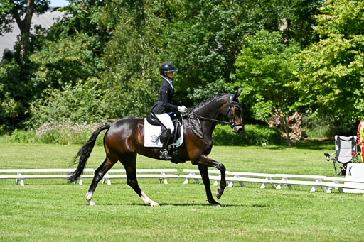  | 13062025 Dressur _1195 