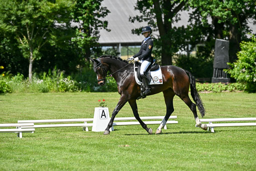  | 13062025 Dressur _1199 