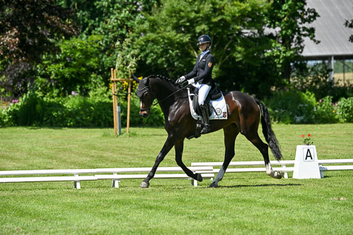  | 13062025 Dressur _1200 