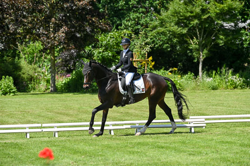  | 13062025 Dressur _1205 