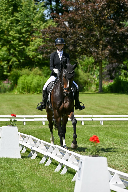  | 13062025 Dressur _1206 