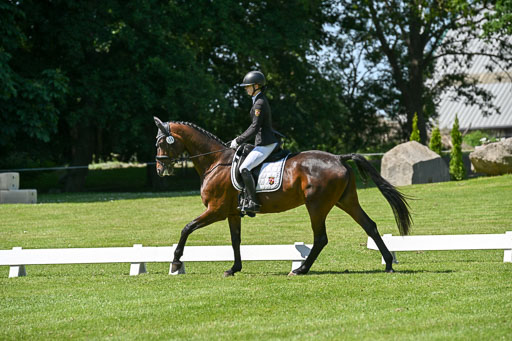  | 13062025 Dressur _1209 