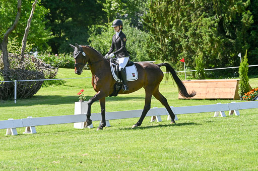  | 13062025 Dressur _1212 