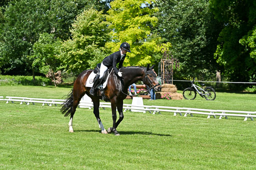  | 13062025 Dressur _1213 