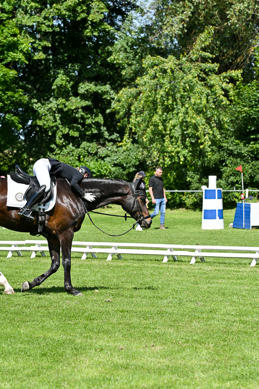  | 13062025 Dressur _1214 