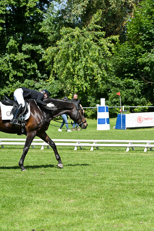  | 13062025 Dressur _1215 