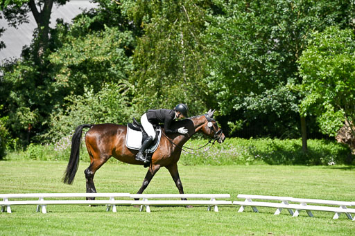  | 13062025 Dressur _1221 