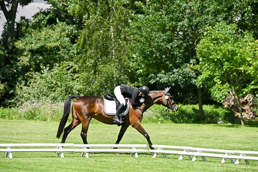  | 13062025 Dressur _1222 