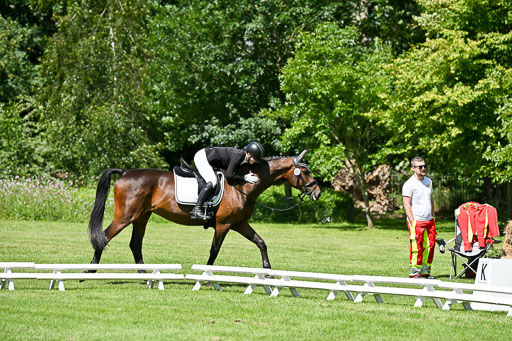  | 13062025 Dressur _1223 