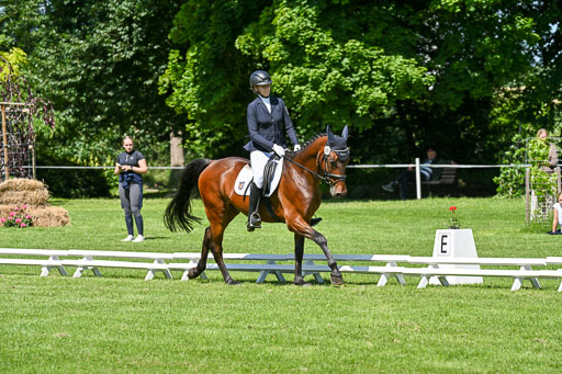  | 13062025 Dressur _1240 