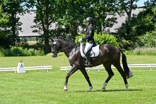 13062025-Dressur-_1592.jpg