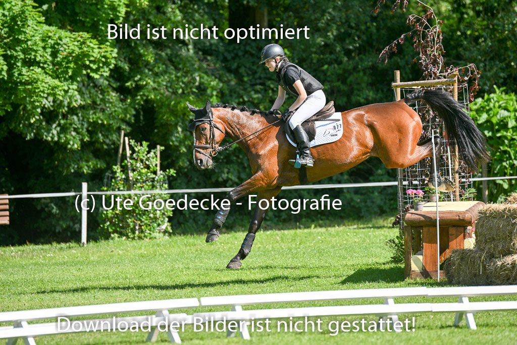  | 14062025  Gelände  1 Abt _0339 