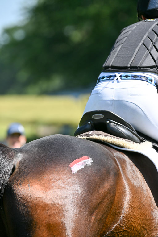  | 14062025  Gelände  1 Abt _0630 