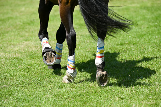  | 14062025 Gelände 2 Abt _0275 