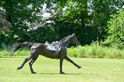  | 14062025 Gelände 2 Abt _0380 