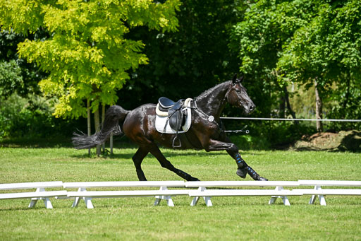  | 14062025 Gelände 2 Abt _0381 