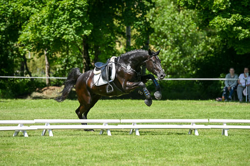  | 14062025 Gelände 2 Abt _0382 