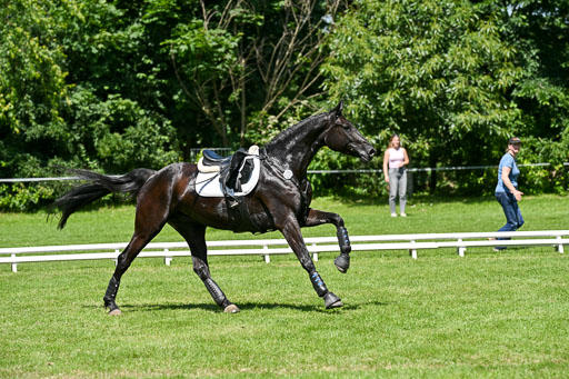  | 14062025 Gelände 2 Abt _0383 