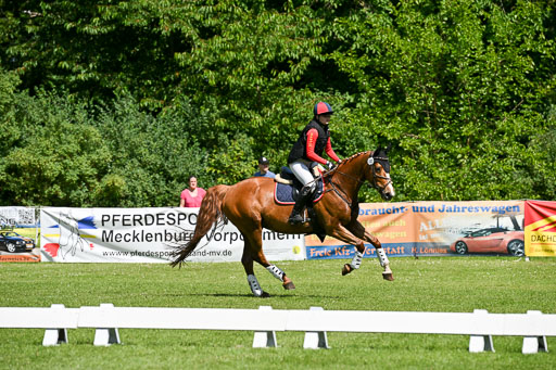  | 14062025 Gelände 2 Abt _0626 