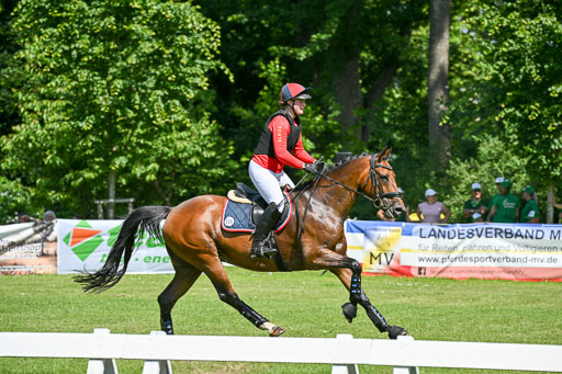  | 14062025 Gelände 2 Abt _0647 