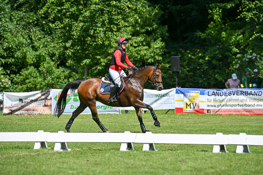  | 14062025 Gelände 2 Abt _0654 