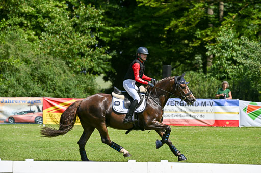  | 14062025 Gelände 2 Abt _0674 