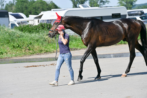  | 14062025  Impressionen _26 