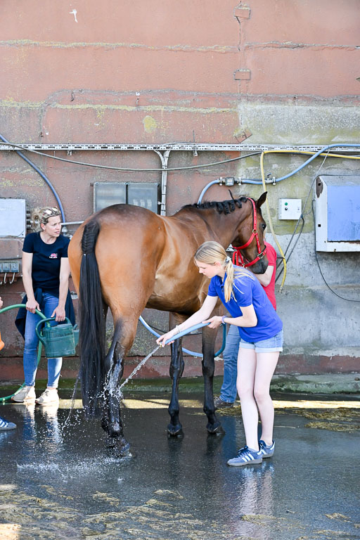  | 14062025  Impressionen _29 