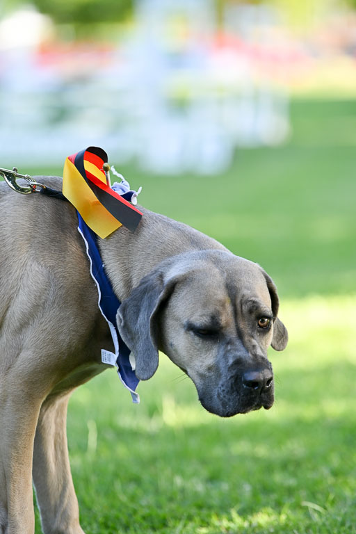  | 14062025  Impressionen _44 