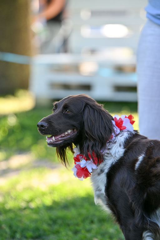  | 14062025  Impressionen _49 