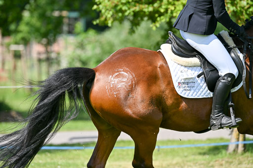  | 15062025 Springen 1 Abt _117 