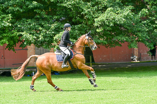  | 15062025 Springen 2 Abt _237 