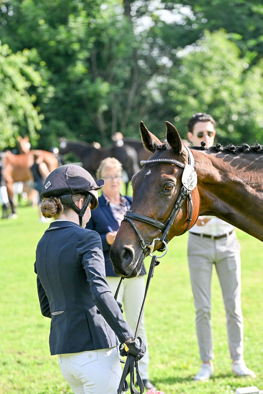  | 15062025 Vormustern _031 