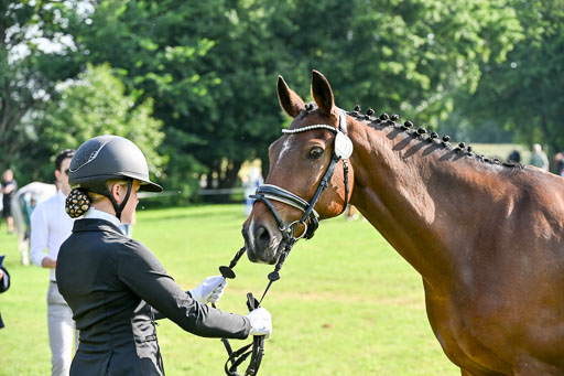  | 15062025 Vormustern _044 